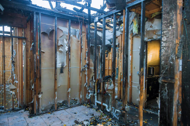 Professional Fire Damage Repair technician working in Poncha Springs, CO